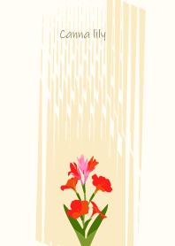 August's birth flower,Canna lily