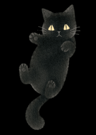 A unique cat07 black