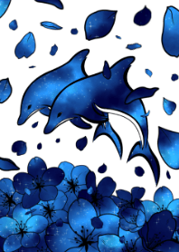 イルカと桜-星空-