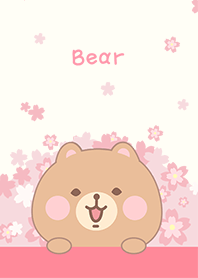 くま さくら ピンク