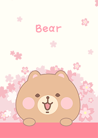 หมี ดอกซากุระ สีชมพู