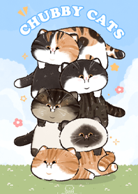 Lazy chubby cats