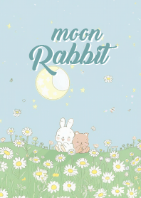 funny rabbit and bear_12