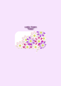 Flowers -4 *