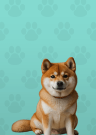 Cute Shibainu Theme Green 08