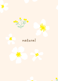 yellow and white flowers18 from Japan