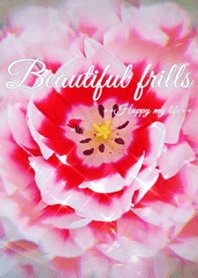 Beautiful frills
