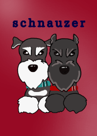 cool schnauzer 2