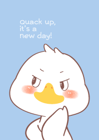 BuBU  New Day