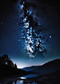 Bright Moon and Dawn 889Ab4