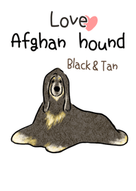 Afghan hound dog Black and Tan!