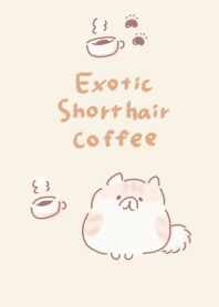 Simple Exotic Shorthair Coffee Beige