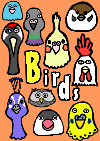 Birds, large groups.