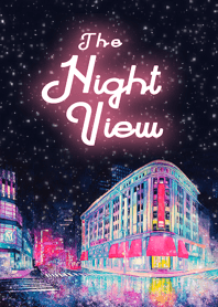 The Night View of Tokyo 04