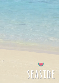 海濱 西瓜'灰色的'