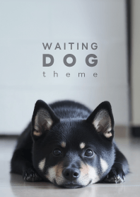 WAITING DOG - Shiba Inu 01/B - [rev.]