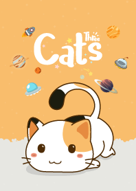 Three Cats Love Orange