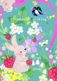 The strawberry picking