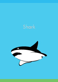 Cheerful Shark on blue
