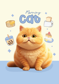 แมวส้ม : บริติช