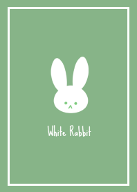 White Rabbit THEME /5