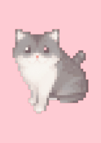 * Black Cat Pixel Art Theme  Pink 03