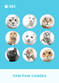 ネコカメラ - ブルー 04