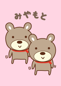 Cute bear theme for Miyamoto