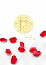 Wish come true,Rose & Flower of Life 1