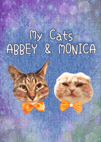 ABBEY & MONICA 's CAT Theme