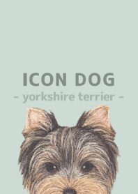ICON DOG - Yorkshire terrier - GR/04