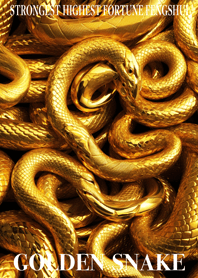 Golden snake  Lucky 55