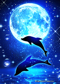 Fantastic Full Moon And Dolphin Line Theme Line Store