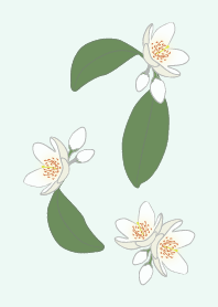white flowerMG