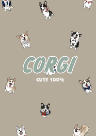 corgicorgi7 - khaki
