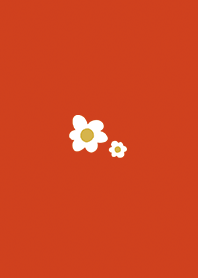 สีแดง: ดอกไม้สีขาว