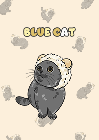bluecat2 - buff