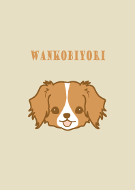 WANKOBIYORI(Kooikerhondje)1