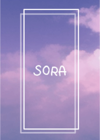 SORA vol.313