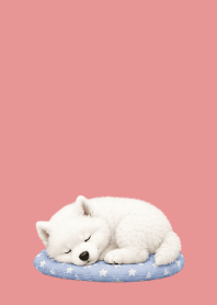 Baby Samoyed02 light pink JP