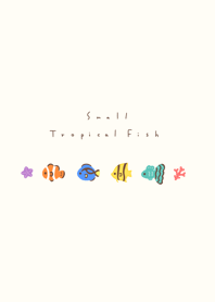 ปลาเขตร้อน /yellow beige