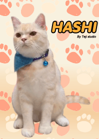 ฮาชิ