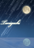 Taniguchi Moon & meteor shower