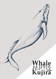 Majestic Whale _ Pearl grey