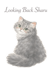 Looking Back Sharu - White and Blue