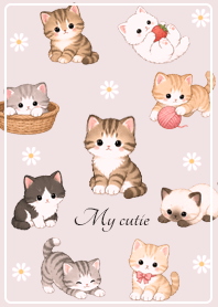 Kittens and Daisy pink