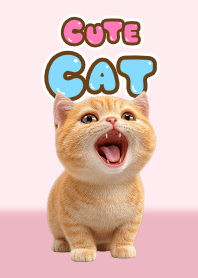 Kucing Oranye (Tema Merah Muda) 14