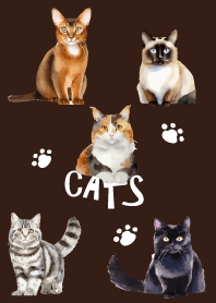 unique cats on brown