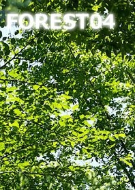 FOREST-森林04