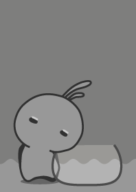 rabbit staring-67